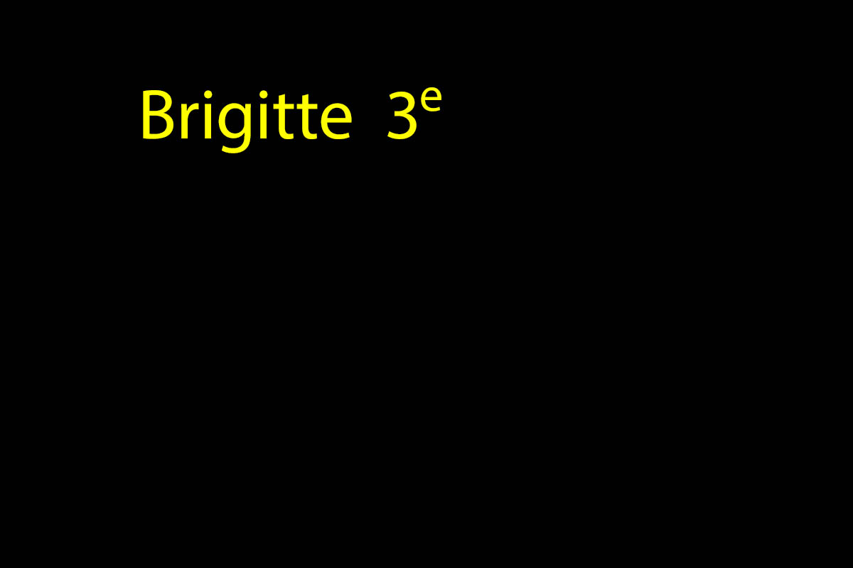 Brigitte_3e  
