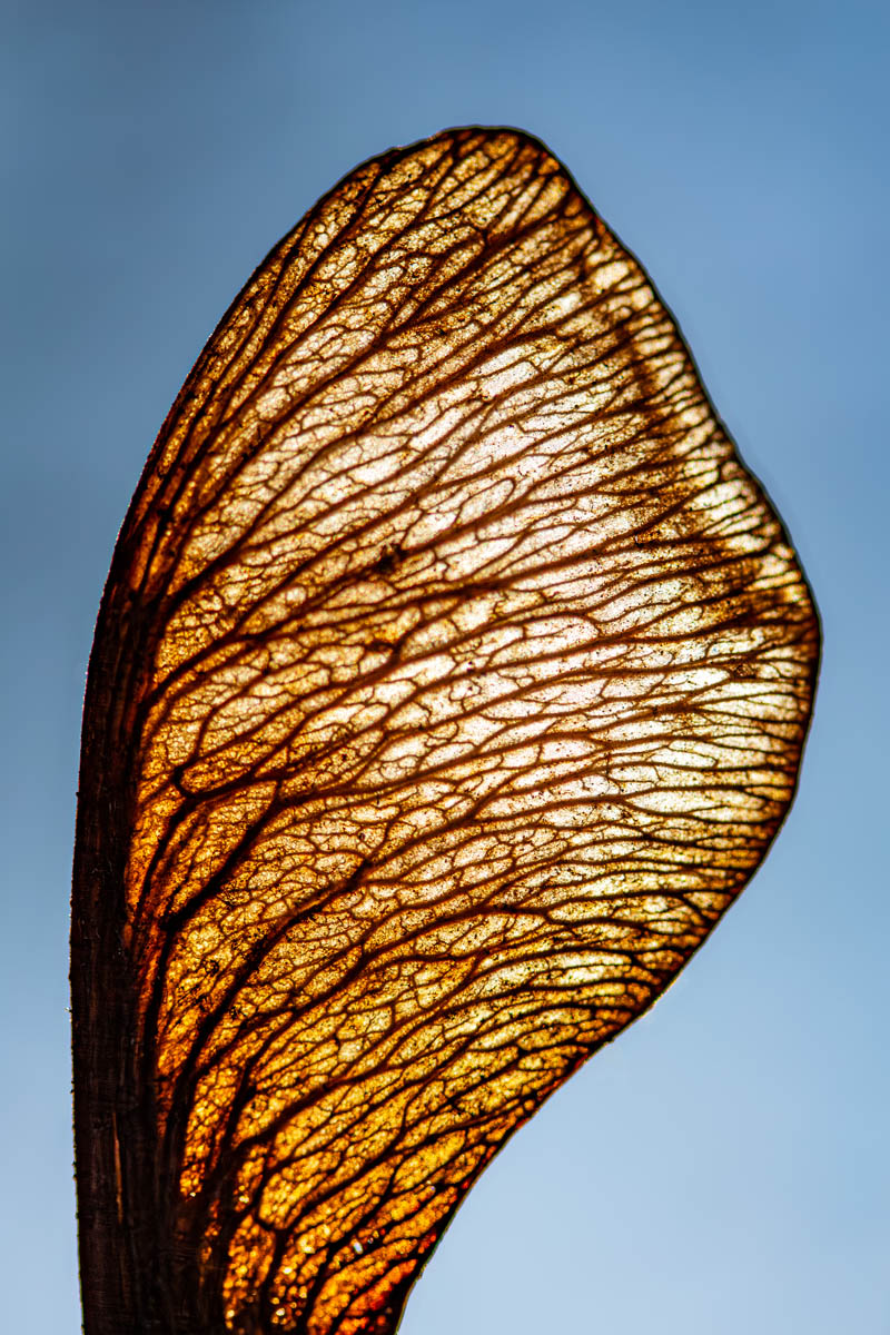 Macro_IDR_3 