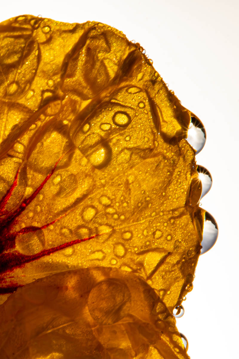 Macro_IDR_5 