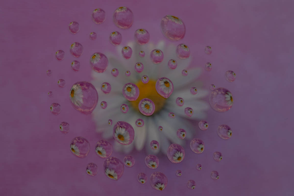 Eau_IDR_5