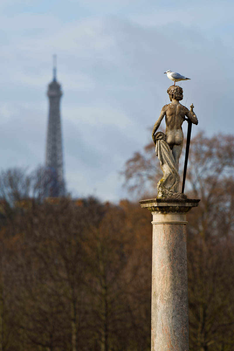 Statues_PLE_4 